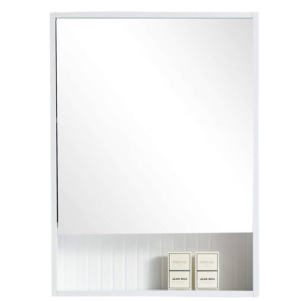 Latitude Run® Asahel Surface Mount Framed 2 Doors Medicine with 2 Shelves & Reviews